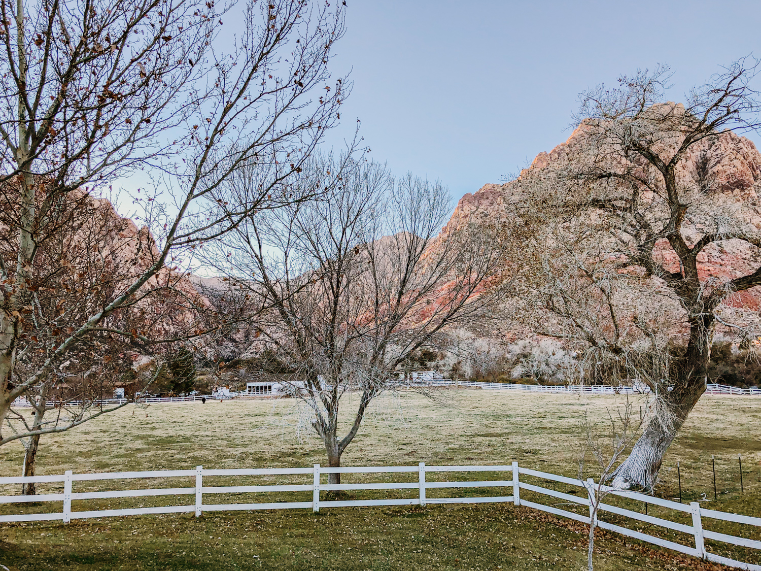 Escape to the Wild West: Your Guide to Nevada's Spring Mountain Ranch State Park